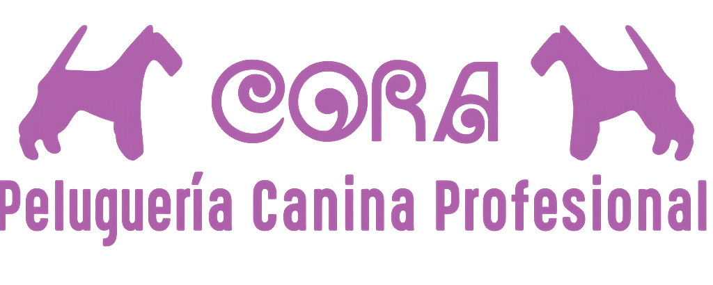 ChatGPT Image 24 oct 2025, 11_16_16